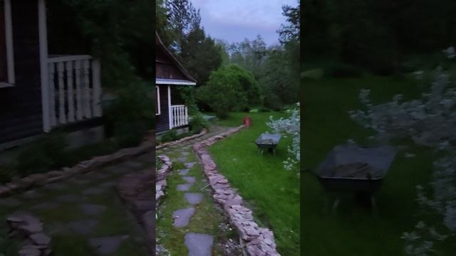 Мой сад и соловьи