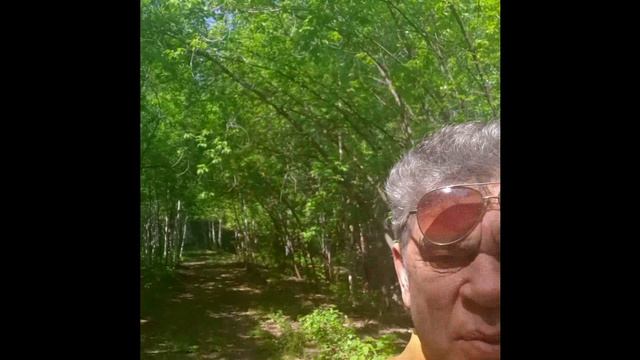 ПЕСЕНКА ДНЯ 04 06 25