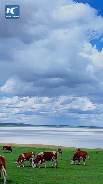 🌊Молочно-белое озеро во Внутренней Монголии