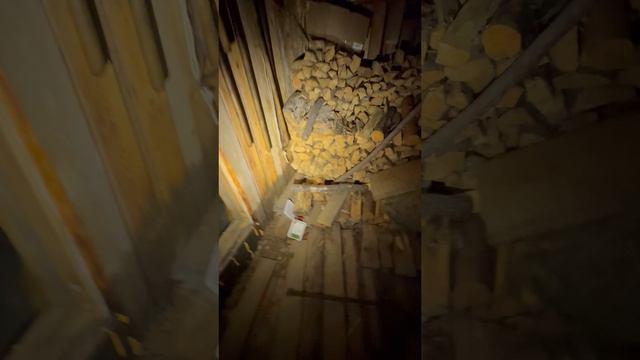 Медведь ломился в избу
