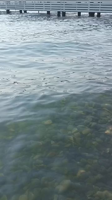 Сегодня море супер 👋 Пляж Большой Утриш 😁 #утриш #анапа #пляж