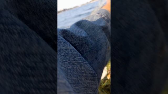 1000044190.mp4Волга.06.06.2025г.
