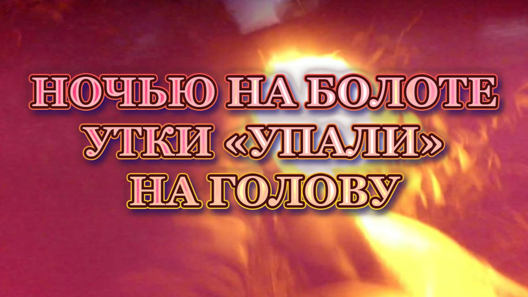 На болоте ночью, утки упали на голову