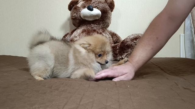 1000023572.mp4