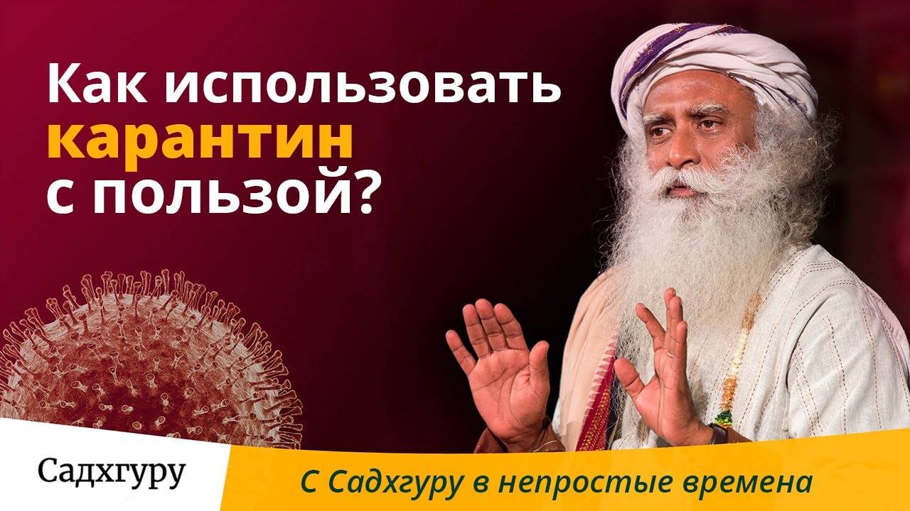 Как провести время в карантине с максимальной пользой