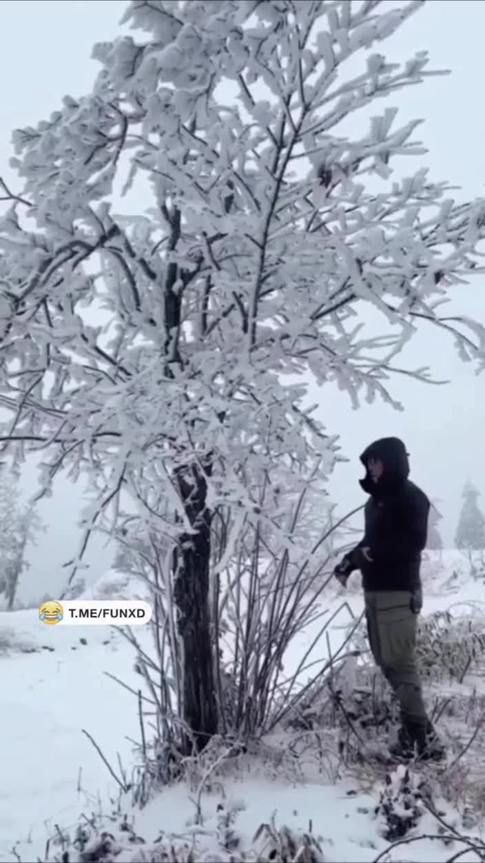 Кажется так даже лучше😆