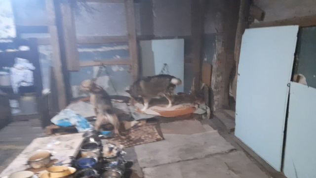 13.02.2022 г