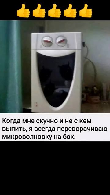 Перевёрнутая Микроволновка