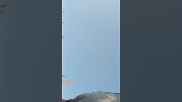 1000000232.mp4