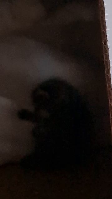 20250601_203725
