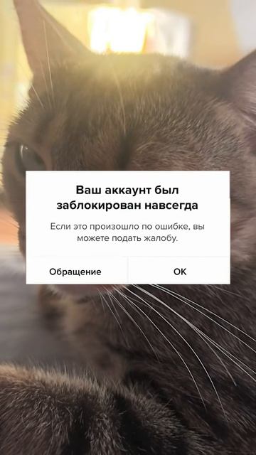 😂😂😂отправь другу
