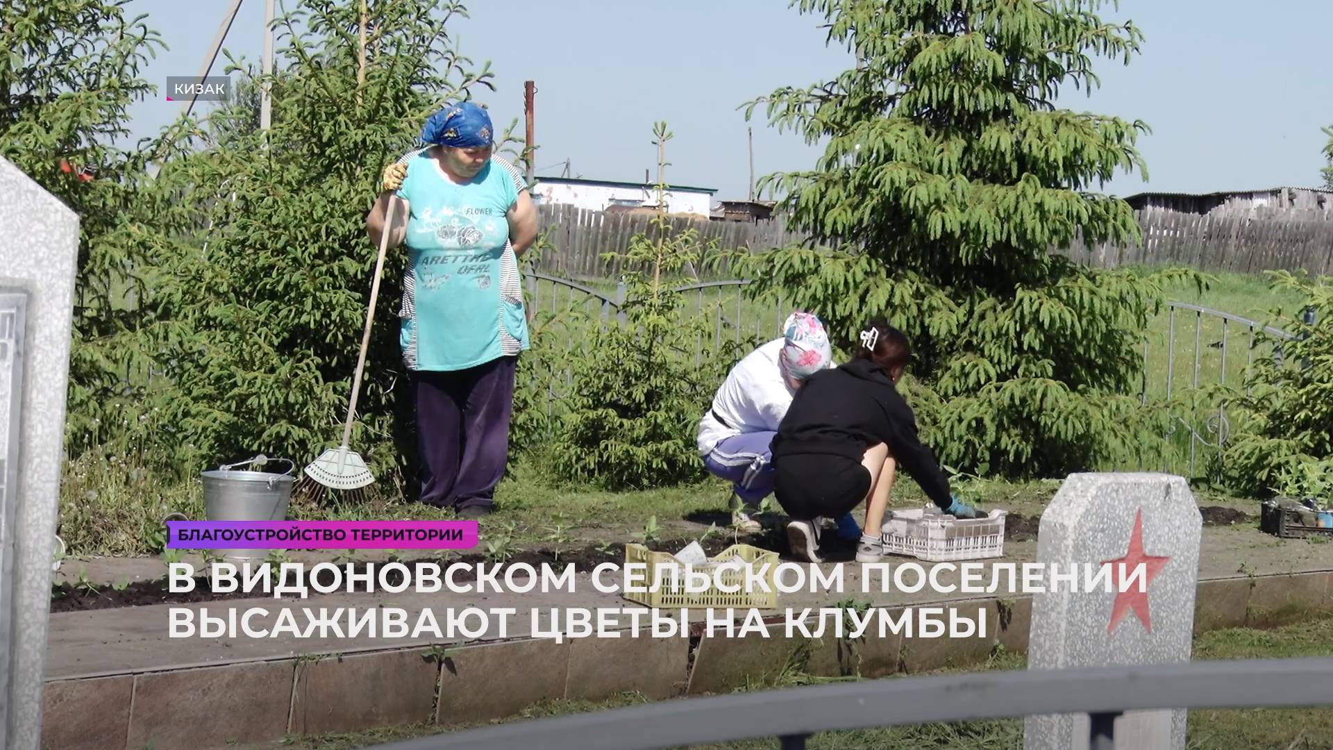 В Видоновском сельском поселении высаживают цветы в клумбы