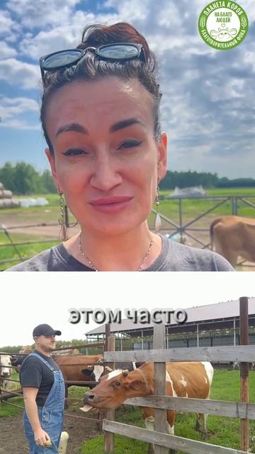 💙 Дорогие друзья! 7 коров на 7е июня! Совпадение? Дар свыше или знак..
Великий Пандава Экадаши