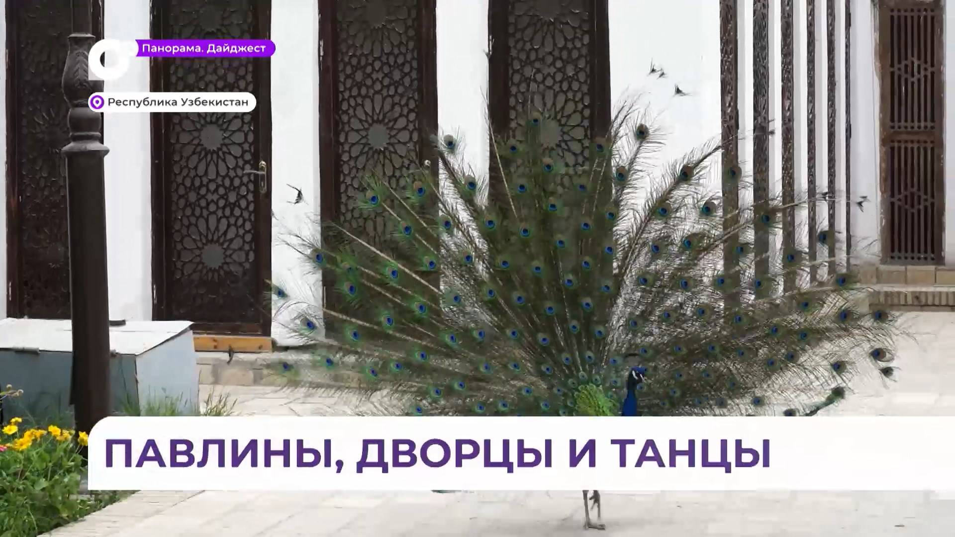 Второй день приморских ребят в Узбекастане выдался очень насыщенным и интересным