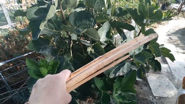 НАСТРОЙ НА ПРИЯТНЫЙ ДЕНЬ*ЛЁГКИЕ ЗАМОРОЗКИ*МАСТЕРИМ ПО