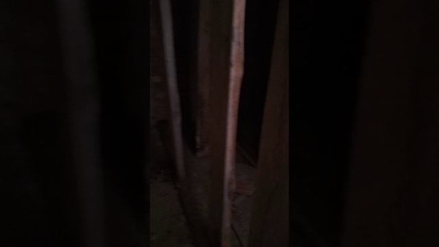 я в заброшке