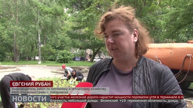 Озеленение Хабаровска: полтора миллиона цветов. Новости. 06/06/2025. GuberniaTV