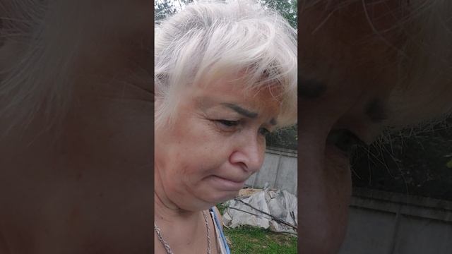 Гуляем