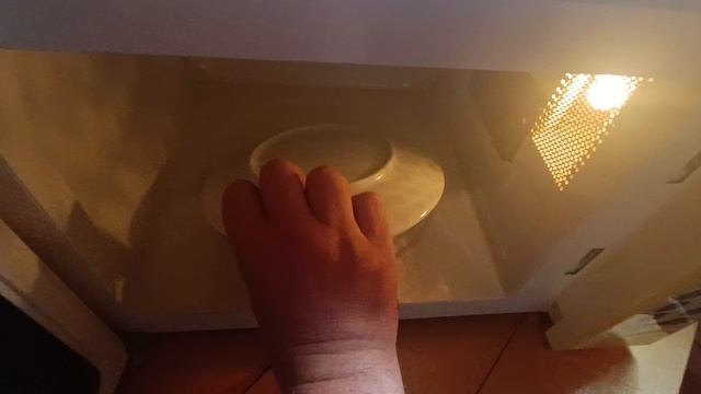 1000198969.mp4