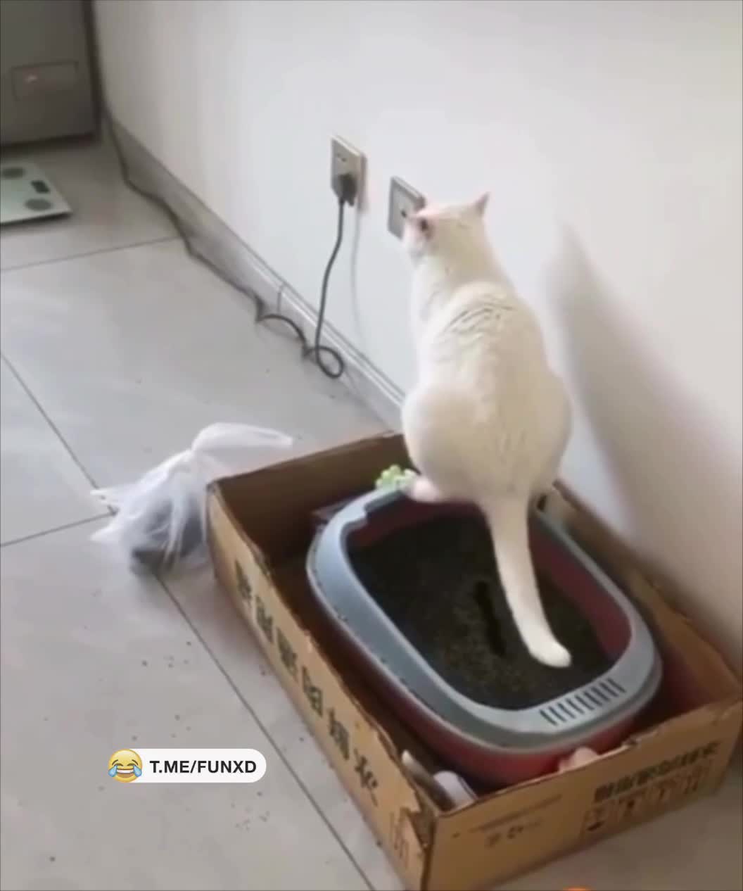 И сразу вытер😁