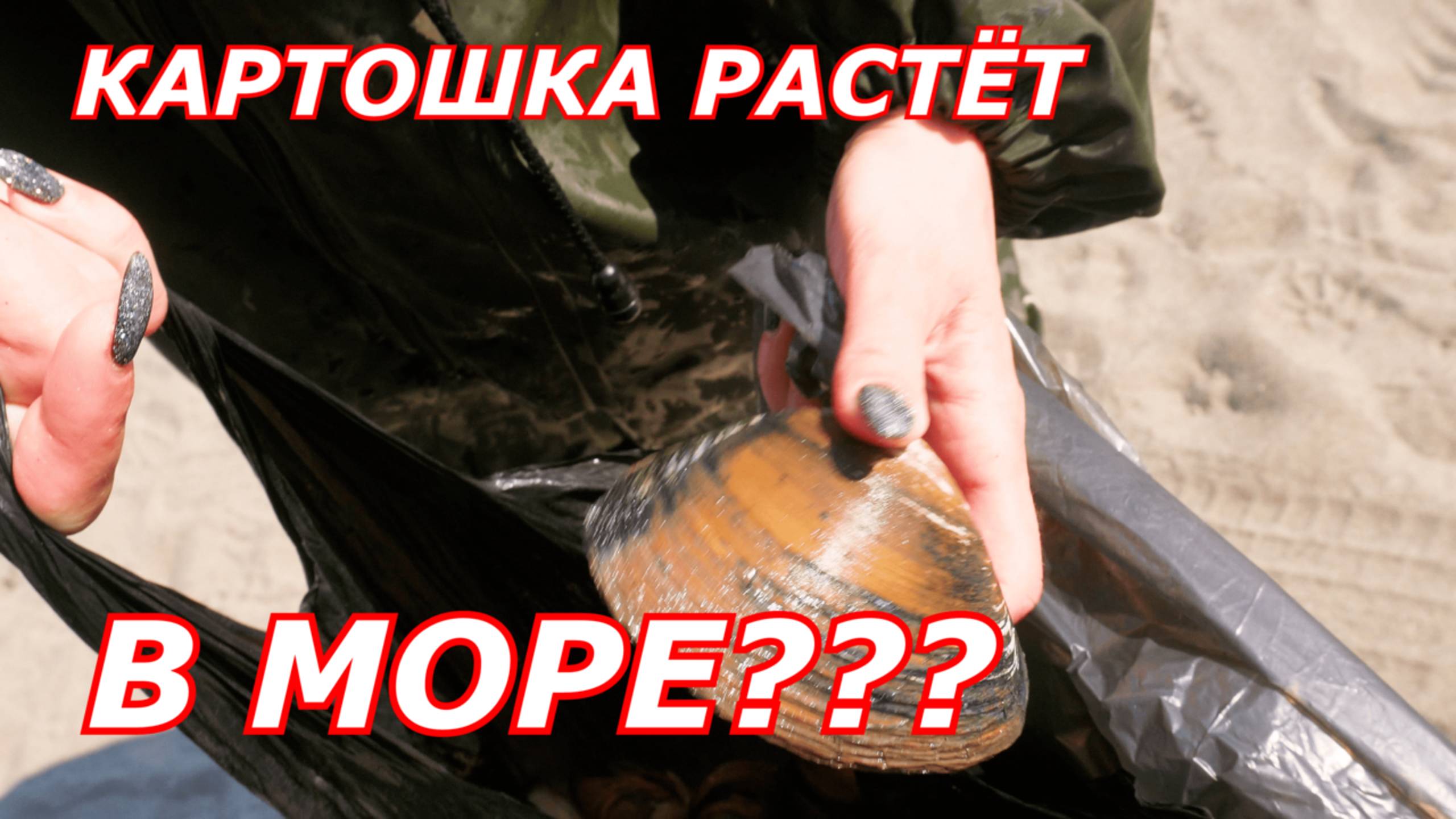 ВЫЛАЗКА в Песчанское Анивского района. Смотреть на большом экране , в максимальном качестве.