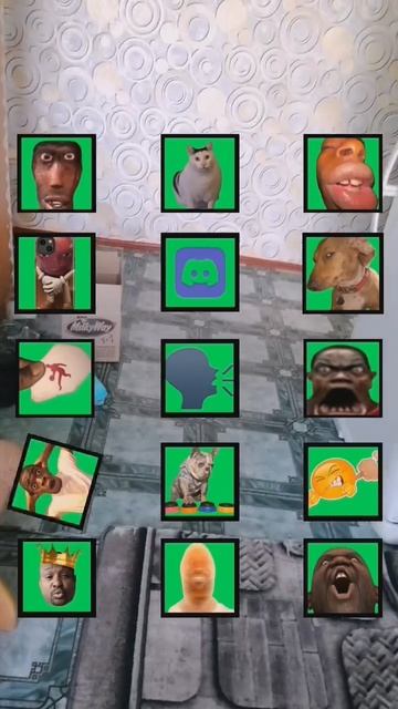 Snapchat-1971017196.mp4