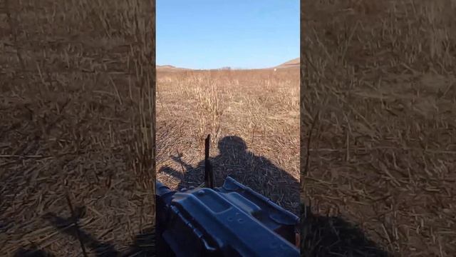 морская пехота 155 братья работайте