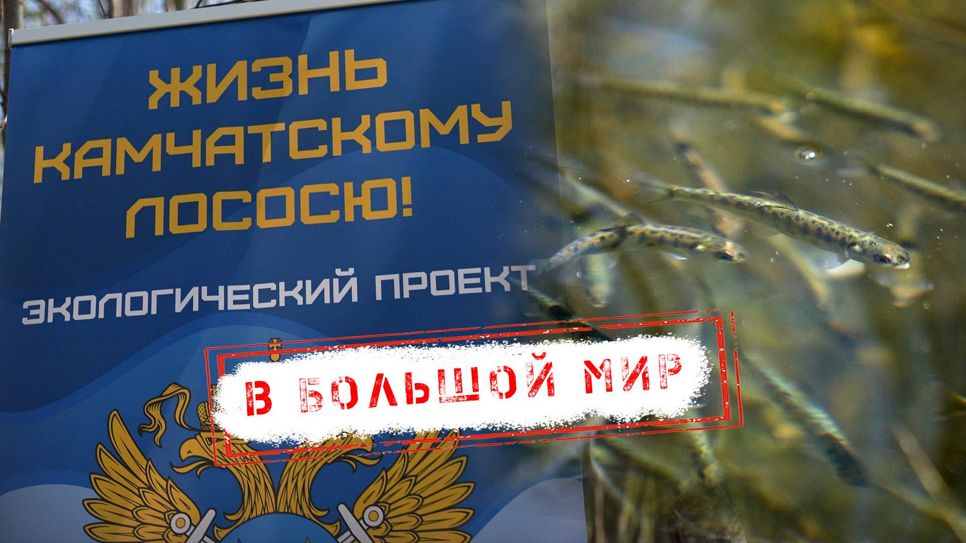 НОВОСТИ КАМЧАТКИ: НА ЗАВОДЕ ВЫПУСКНОЙ