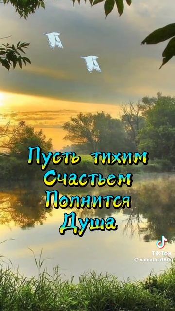 Доброе утро