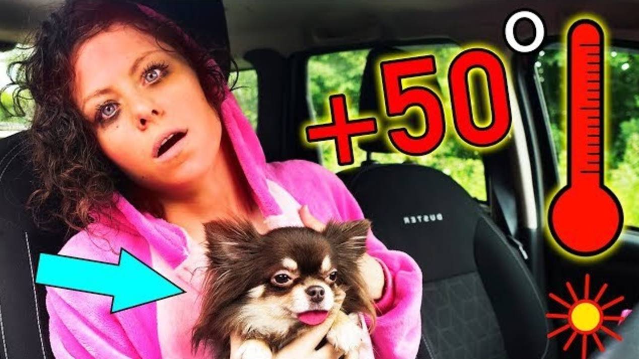 КАК СТАТЬ ЖИВОДЕРОМ? ОПАСНЫЙ ЭКСПЕРИМЕНТ ЖАРА +50 в МАШИНЕ для СОБАКИ и КОШКИ | Magic Family