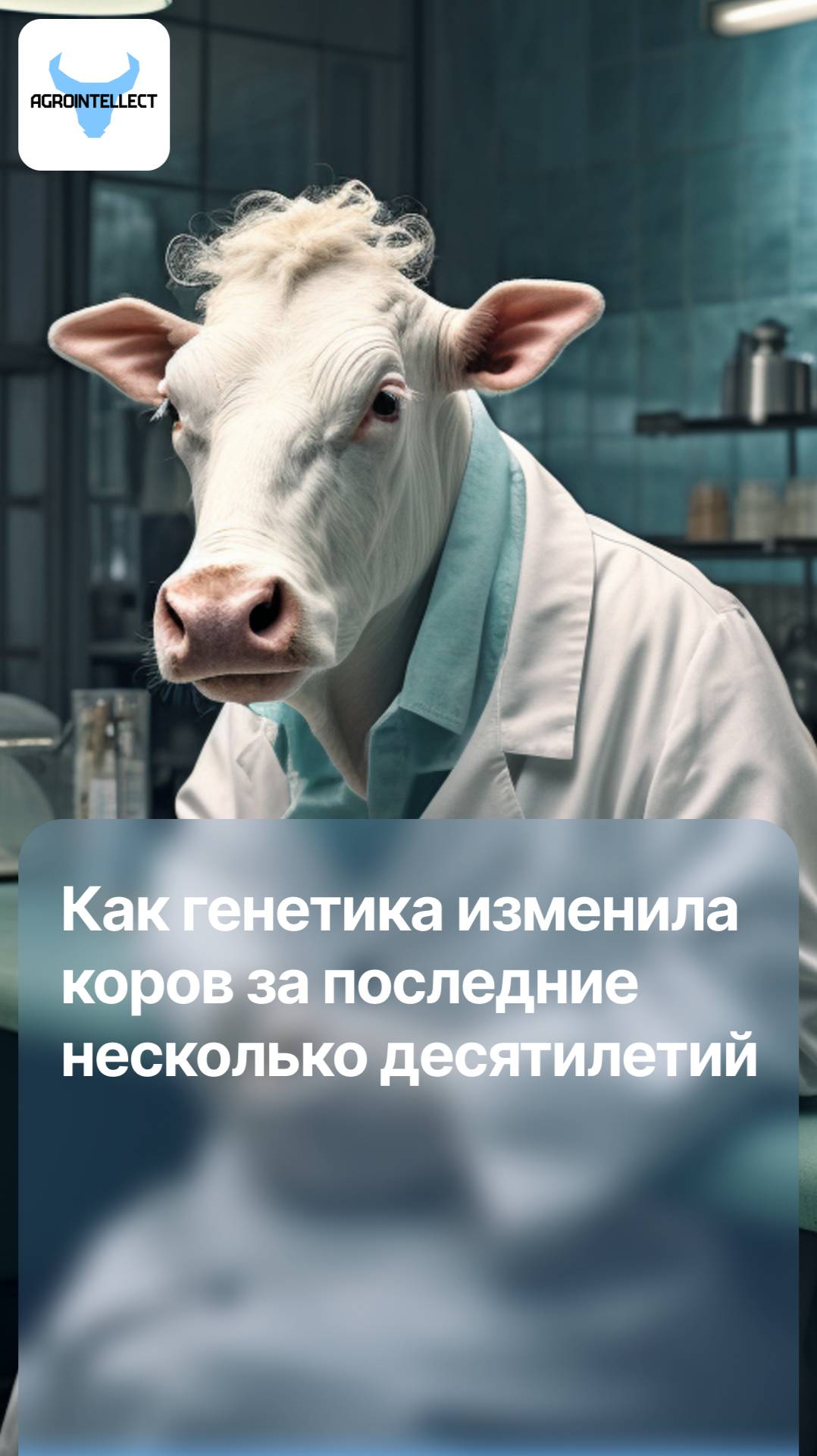 Как генетика изменила коров за последние несколько десятилетий!