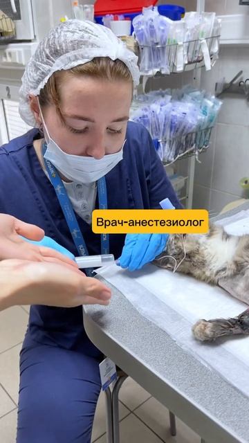 Почему у вас дорогой стационар?