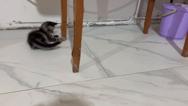 Семен проводит время вечером