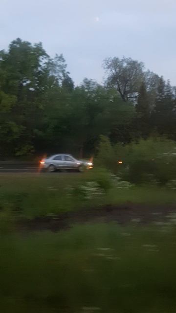 Сосновая Поляна