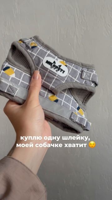 С MiloPets хочется купить все 😻

А сколько у вас шлеек?)