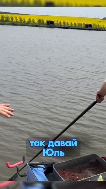 ФИДЕРИСТАМ НА ЗАМЕТКУ  #fishing #рыбалка #рыбалканафидер #norstream #carpfishing #new #carp