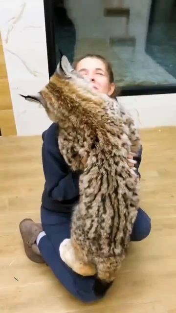 Наш TG https://t.me/liveofcats