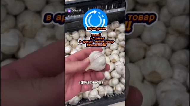 Дружба народов и вред здоровью