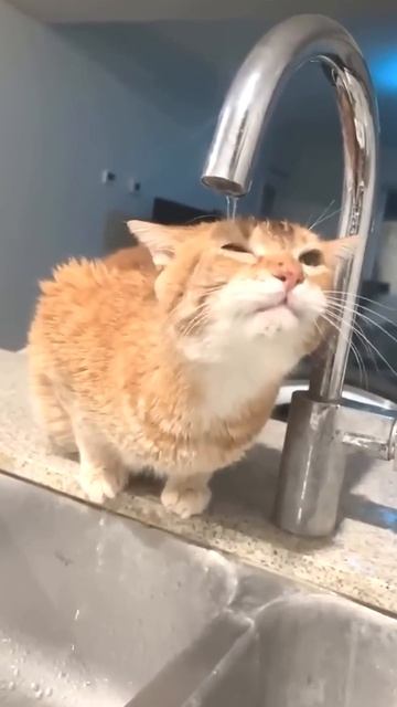 Коллеги после корпоратива