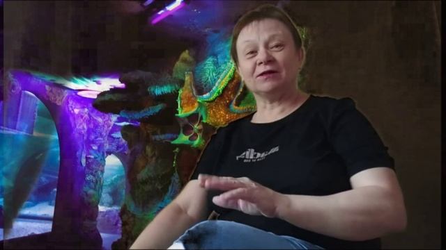 История про золотую рыбку. Или о нашей поездке в Океанариум