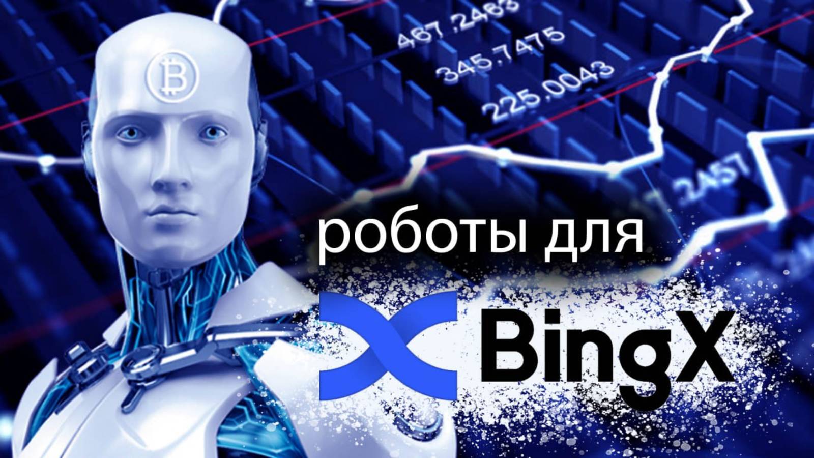 300 бесплатных роботов для BingX Api.