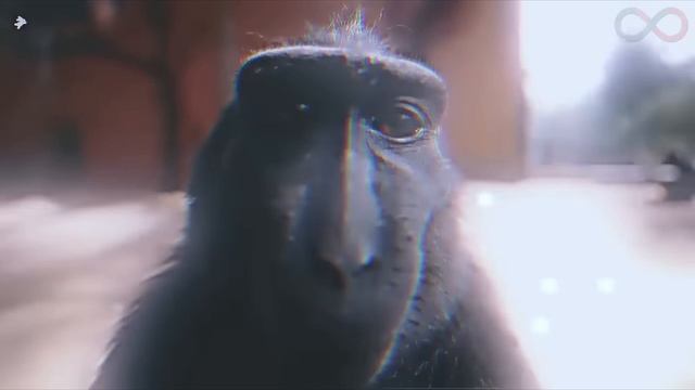 1000013900.mp4