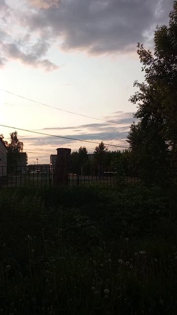 Жизнь