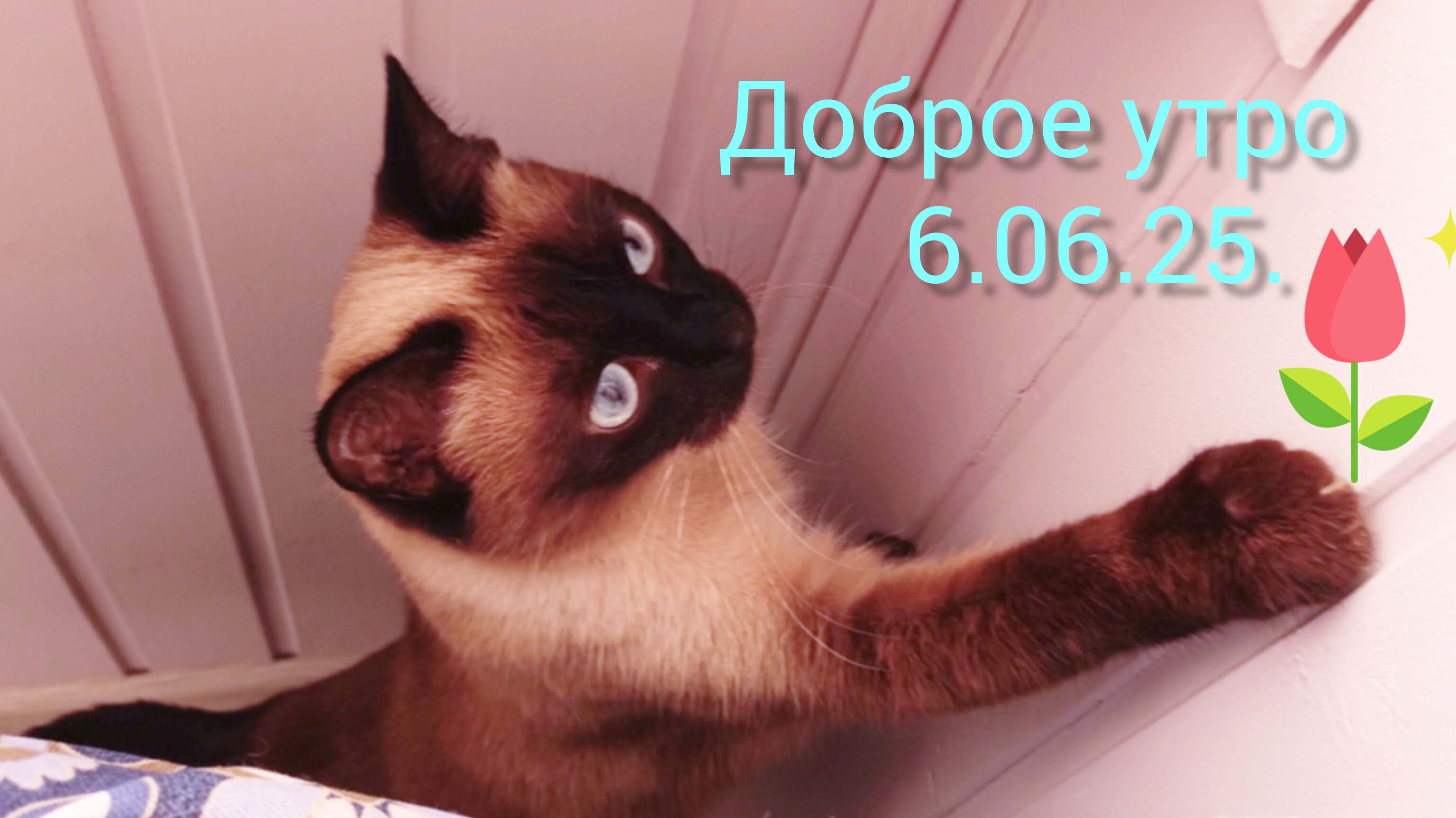 Доброе утро 06-06-2025 #жизнь как есть #будни инвалида #жизнь инвалида