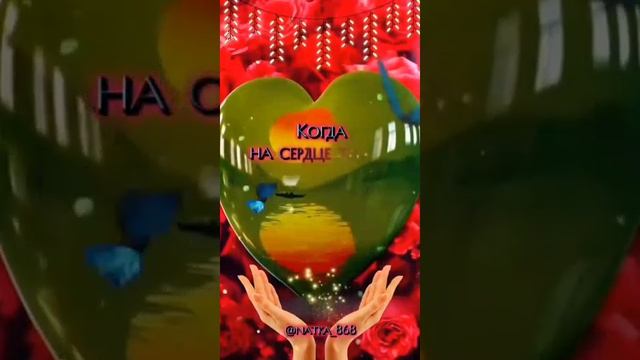 VID-20250606-WA0004.mp4