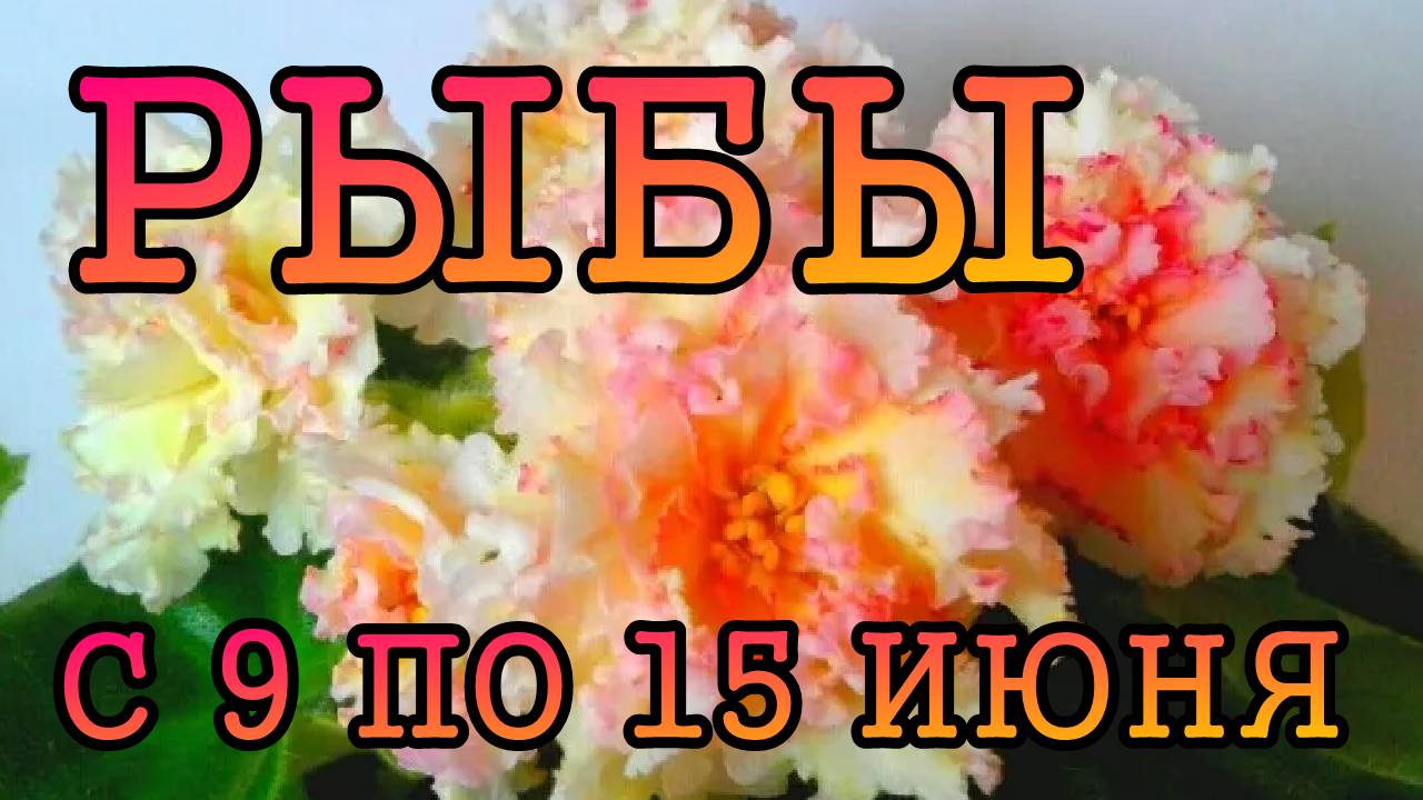 РЫБЫ таро прогноз на неделю с 9 по 15 ИЮНЯ 2025 года.