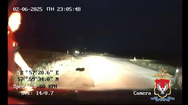 Для остановки машины нетрезвого водителя-лихача в Удмуртии полицейские применили табельное оружие