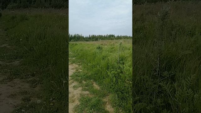 У пляжа Жемчужный