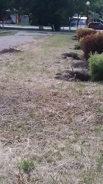 VID_20250606_133141.mp4
