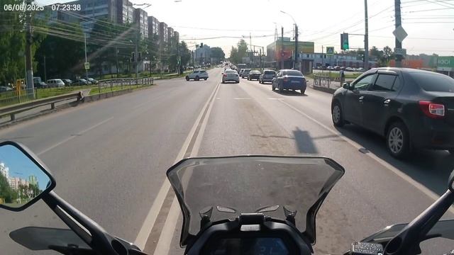 Манёвры коробочек обыкновенных